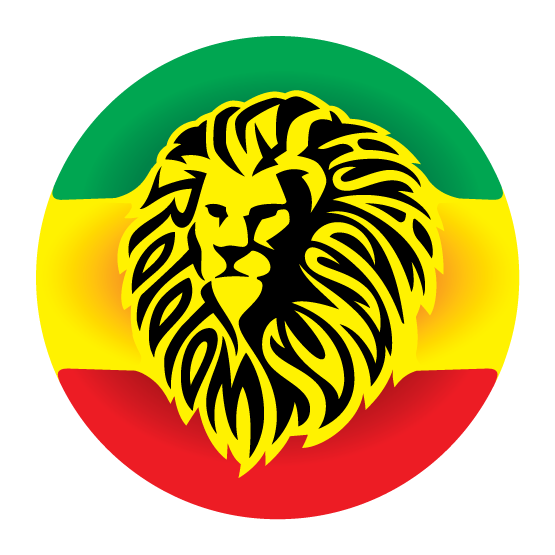 Rototom Brand Refresh